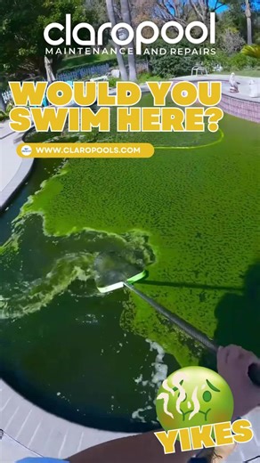 Would you swim here? 🐸🍃 This pool looks like it’s auditioning for a swamp documentary. What you're seeing is a full-blown neglect disaster — layers of leaves, stagnant water, and algae buildup from months (maybe years) of no cleaning, no circulation, and zero chemical treatment. ⚠️ Code Violation? Absolutely. This can pose serious health risks and may be flagged during inspections. 🔧 Could it have been prevented? 100%. ✅ Regular maintenance ✅ Balanced water chemistry ✅ Proper filtration & cir