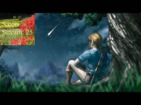 The Legend Of Zelda: Breath Of The Wild Playthrough Part 25: Master Cycle Zero And Memories