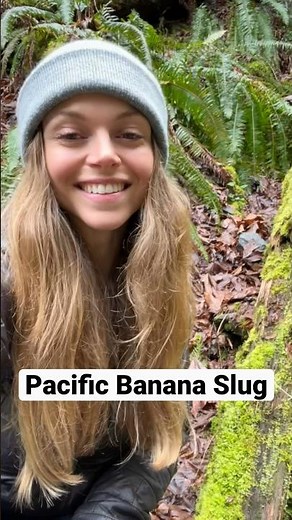 Largest Slug in North America: Pacific Banana Slug 🤩🍌