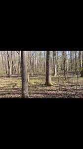 Tracker training | Tactical Tracking School