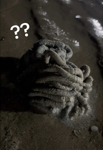 What is this? #thailand #beach #pattaya #aliens #wonder #alien #beach #unknown #miracle #scary