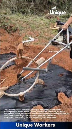 Ingenious DIY Planter: Homemade Tool for Planting on Plastic Mulch