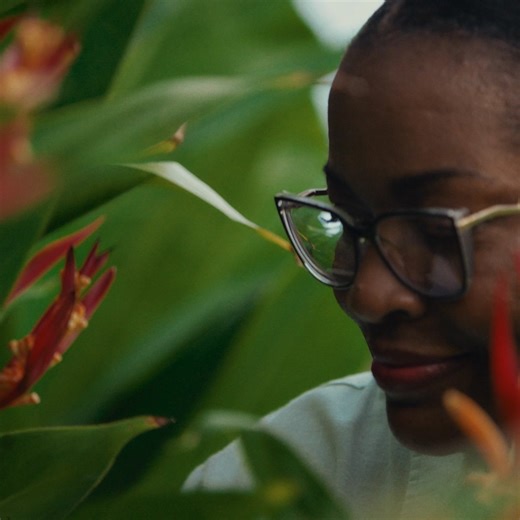 Feel the Caribbean at Sandals through authentic local experiences, the island breeze, or a welcoming smile from the people who call it home. | Sandals Resorts