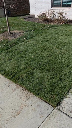 Sod job number two is done lets go | Edward Egan