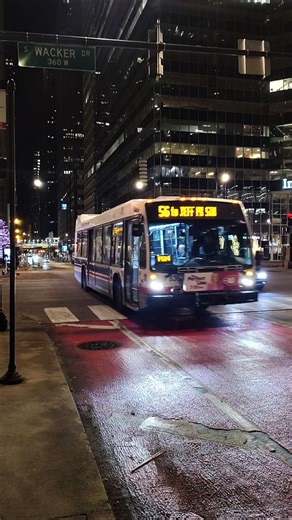 CTA 2022 Nova Bus LFS 8362 on Route 56 #shorts #cta