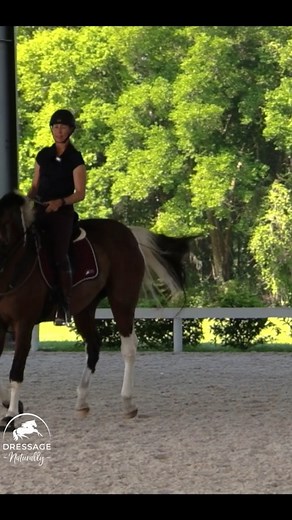 Solve problems of advanced movements in the easiest situation first | Dressage Naturally with Karen Rohlf-Training, Clinics, Educational Material