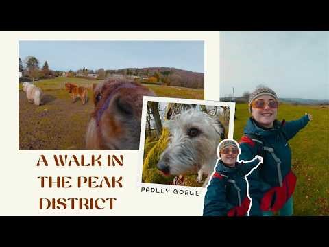 Testing my New Camera in the Peak District's Best Woodland (Padley Gorge)