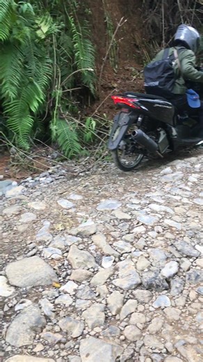 PCX Touring: Gaya dan Knalpot Menarik