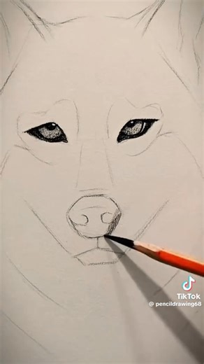 Bases del Concurso de Dibujo "¡Dibújame!" 1. Objeto del Concurso El concurso de dibujo "¡Dibújame!" tiene como objetivo fomentar la creatividad y la expresión artística, invitando a los participantes a reinterpretar visualmente una selección de imágenes de animales proporcionadas por la organización del SOFA. 2. Participantes Podrá participar cualquier persona, sin límite de edad, de la comunidad Cervantina, sedes y jornadas. Se establecerán las siguientes categorías para la evaluación de los tr