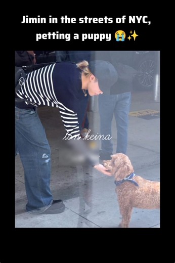 Jimin petting a puppy in New York City😭💞 #bts #kpop #new #cute #btsarmy #jimin #puppy #pets #baby
