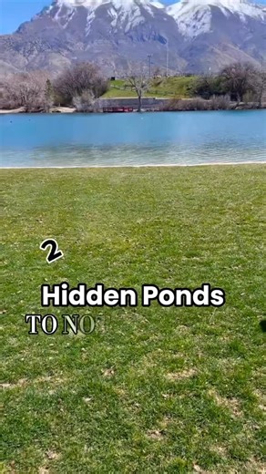 Quack-tastic adventures!🦆🦆 Highland Glen is a FAVORITE…for my kids and from my own childhood! It’s the ultimate place to spend an afternoon or evening! It’s a rather huge space with endless options for fun. Bring your kayak, your fishing pole, your volleyball, a picnic lunch, or a good pair of walking shoes…it’s perfect for getting out and enjoying some sunshine. Highland Glen 4800 Knight Ave Highland, Utah Mehraban Wetland Park is tucked right in the middle of a neighborhood—you wouldn’t even