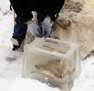 How to create an outdoor winter fridge for your food | 5-Minute Crafts Like