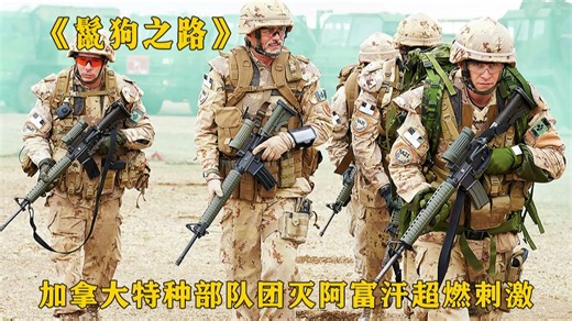 【鬣狗大道】超燃战争电影，堪称加拿大版\"向我开炮\"，5次获奖及12次提名！！！
