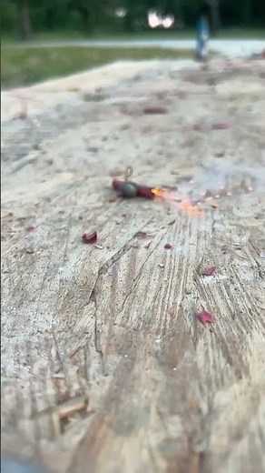 We exploded a dog tick with a firecracker😄