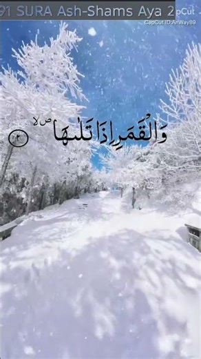 Surat Ash-Shams (The Sun) | Mishary Rashid Alafasy | Parat 1 | سورة الشمس