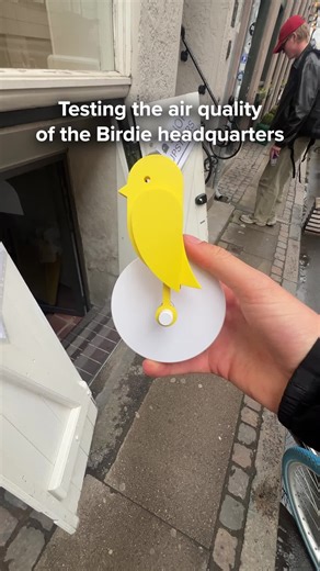 Testing the Air Quality in Our Office Space