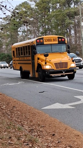 2015 Bluebird Vision Handicap ♿️ Bus 3160(Remastered)