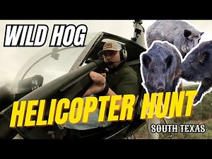 South Texas Heli-Hunt: Feral Hog Takedown