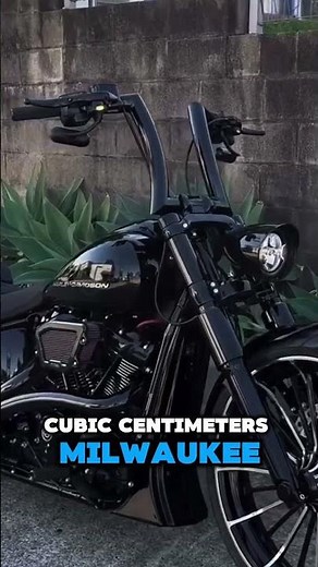 The Ultimate Blacked-Out Harley Davidson Breakout 117!