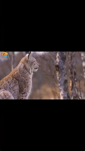 Can You Believe These Amazing Landscapes?