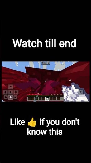 Minecraft Saplings: The Real Logic!