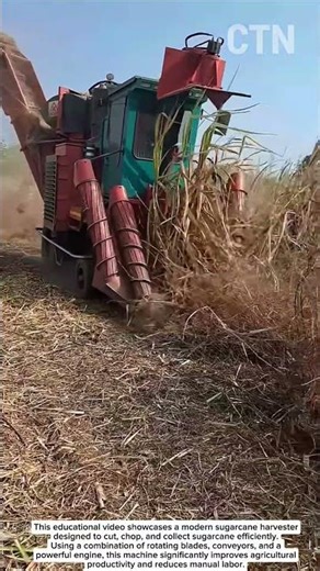 High-Speed Sugarcane Harvester – Modern Agricultural Power!