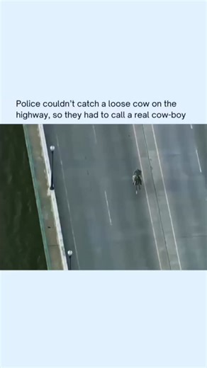 Space 🌌🚀 | Cowboys didn’t actually originate in the American Wild West the way movies and pop culture often portray them 🤠 Their true roots trace back... | Instagram