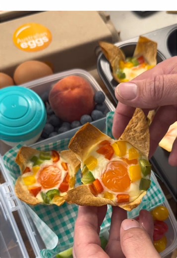 Healthy Aussie Egg Sunflower Lunch Box Recipe