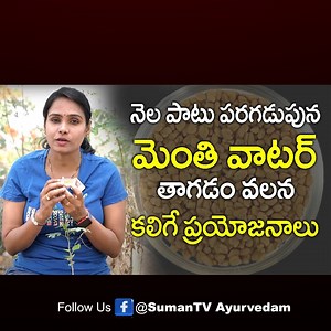 273K views · 2.5K reactions | Health Benefits of Fenugreek Seeds in Telugu l_ Health Benefits of Having Methi Water __ SumanTV #seeds #fenugreek | Sumantv Mahila | Facebook