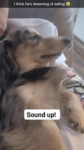 Dreaming of a steak! 🥩 | Lenny and Lexie