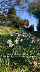 This coming weekend, A Course in Miracles uses as a guiding principle the phrase, ‘what would love do?’ Love is seen as the ultimate reality, the essence of our true nature, and the remedy of fear, conflict and separation. The course explains that at the basis of all human actions and experiences are either love or fear. When faced with a decision, choosing love prompts us to act with kindness, compassion, forgiveness, and understanding, rather than reacting from a place of upset, judgment or eg