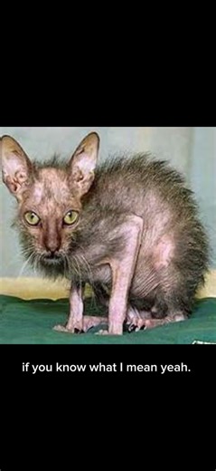 #roblox #edit things that appear charming, but are not so