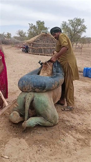 🌵 أجواء الصحراء الباردة… وتعبئة الماء لها متعة خاصة! 💦🥹✨