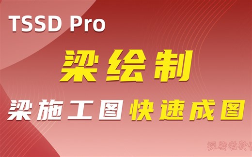 探索者软件丨TSSD Pro 梁绘制 视频教程