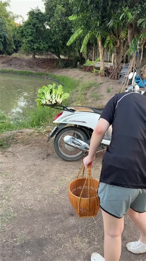 วิธีทำผักกาดขาวในเมนูหลากหลาย