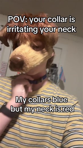 It’s a true sacrifice 😭😭😭 #therian #swag #collar #funny #fyp | collares