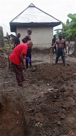 Discover the Fun with Borax Informatica and More