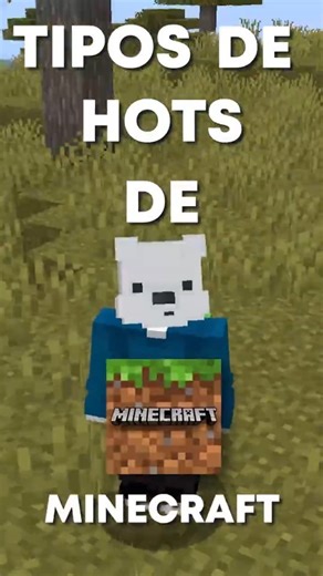TIPOS DE HOTINGS PARA MINECRAFT #shorts