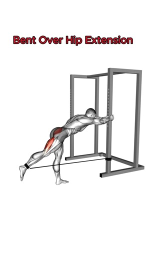Bent Over Hip Extension.