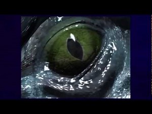 Sonic Adventure DX Opening cutscene HD (Xbox 360)