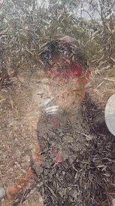 Very nice chunk of Aussie gold 🤩 | GOLD-COIN & RELICS AUSTRALIA