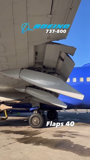 Boeing 737-800 flaps 40. Credit: @max8captain #aviation #pilotlife #plane #pilot | Aviation