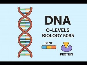 Cambridge, O-levels Biology 5090, Unit-Inheritance, sub-unit DNA