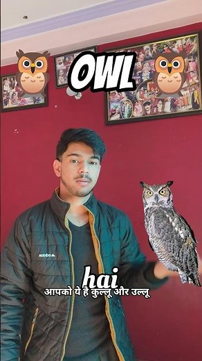 owl 🦉 voice #shorts #challenge
