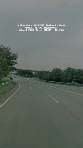 Driving Through Lush Highways: A Journey of Happiness