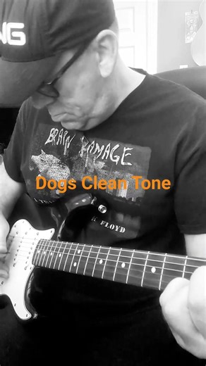 Dogs Clean Tone Perfection