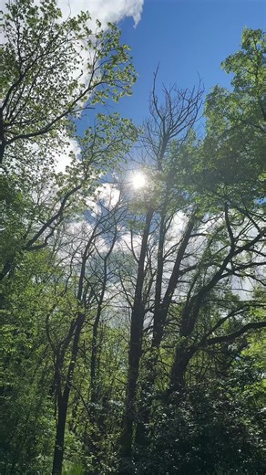 beautifultrouble on TikTok