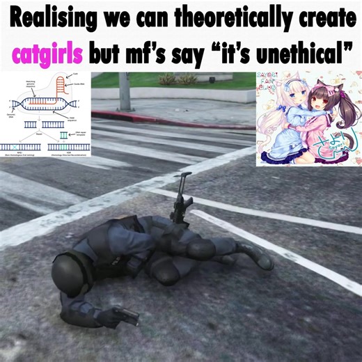 When you realise we can create catgirls but aren’t allowed to #bluearchive #nekopara #catgirl #momoi #midori