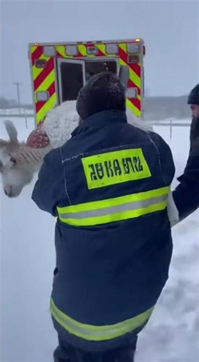 Caught on Camera: Incredible Rescue During Heavy Snowfall #Rescue #RealRescue #RescueTeam #Emergency