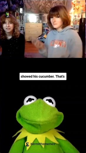 Kermit the Memes on Instagram: "Watch till the end 😄🔚🐸 #kermitthememe #memes #kermit #explorepage"